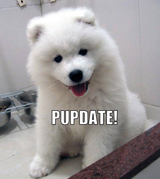Pupdate